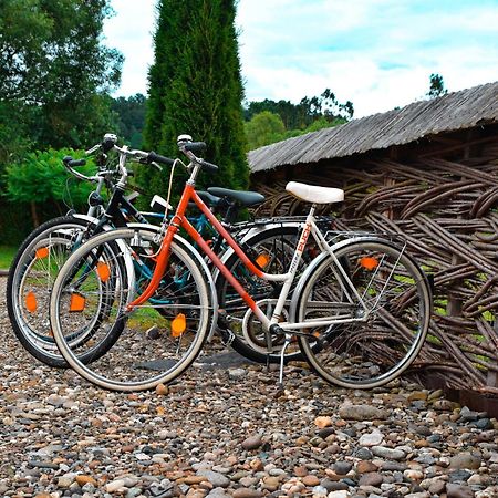 Acasa In Maramures Feresti Zewnętrze zdjęcie
