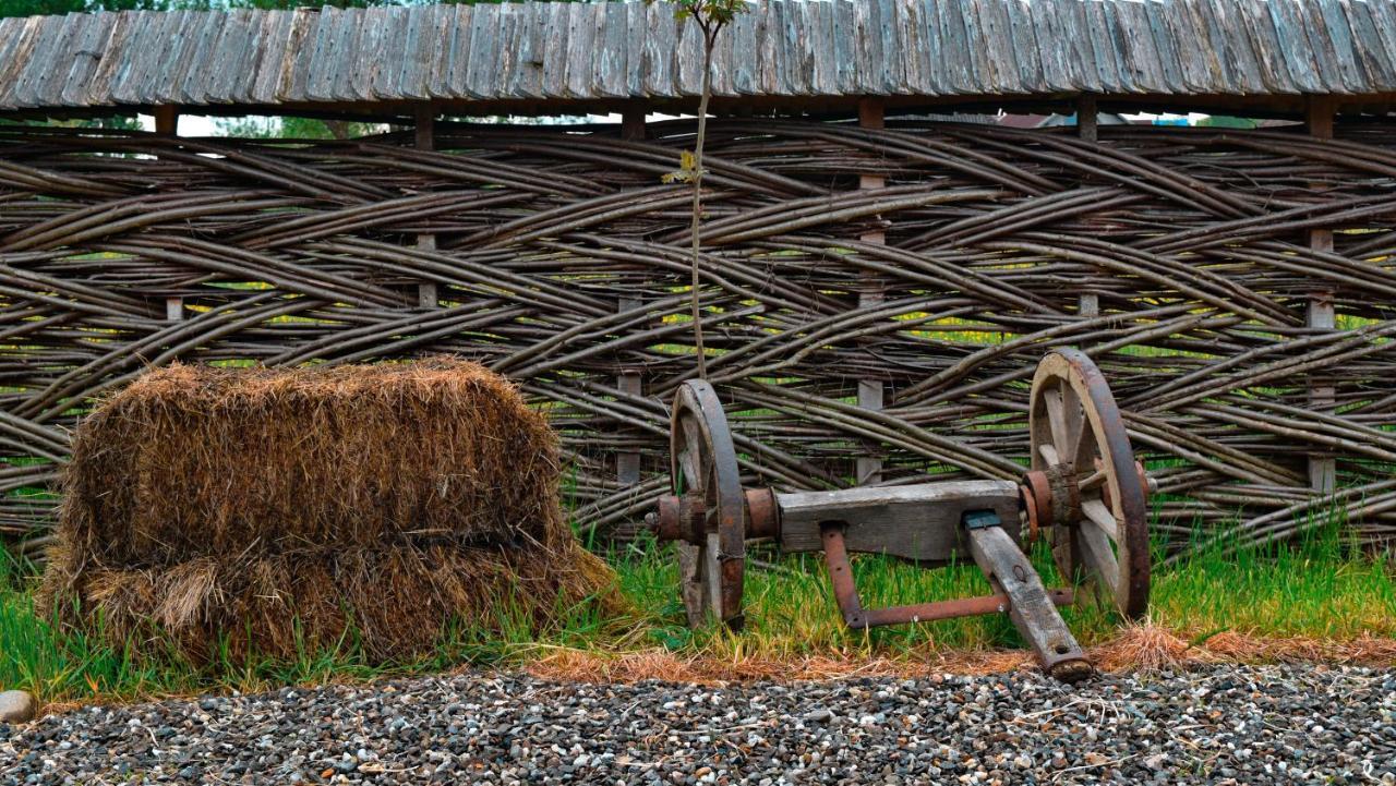 Acasa In Maramures Feresti Zewnętrze zdjęcie