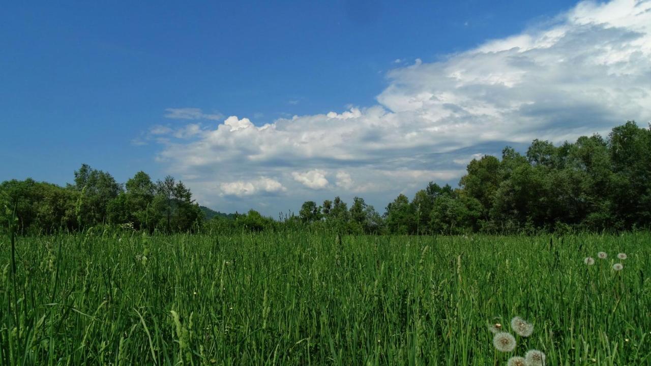 Acasa In Maramures Feresti Zewnętrze zdjęcie