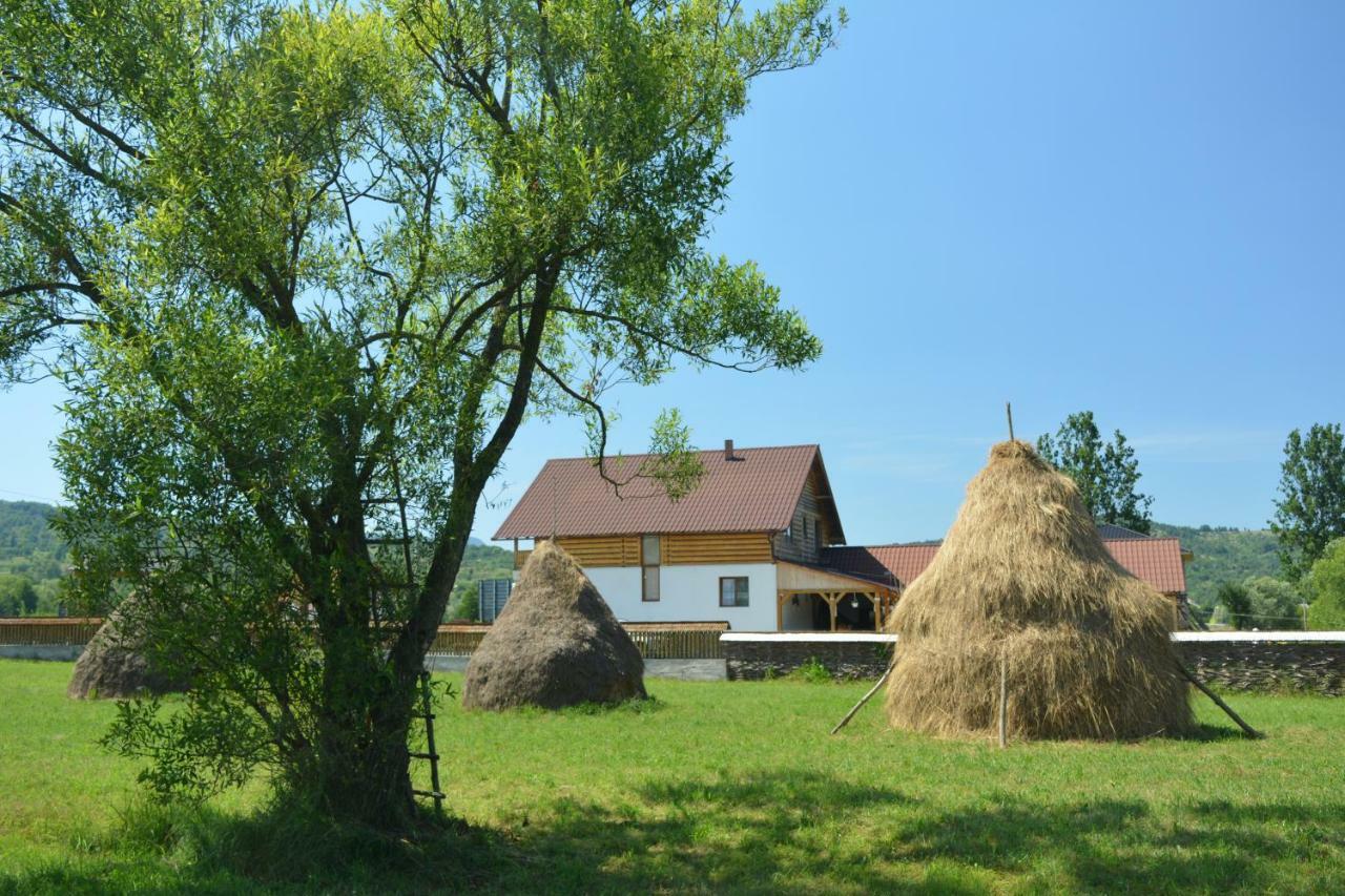 Acasa In Maramures Feresti Zewnętrze zdjęcie
